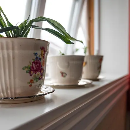 Appartement Idylliske Skudeneshavn