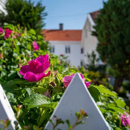 Appartement Idylliske Skudeneshavn
